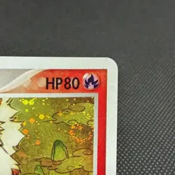 Arcanine 014/080 Magma VS Aqua Two Ambitions 2003 Japanese Pokemon Card #D522 - Image 2