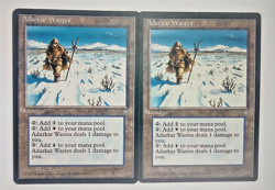 2x Adarkar Wastes Ice Age MTG Land NM/LP Magic The Gathering Double Land Lot - Image 2