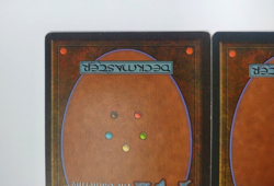 2x Adarkar Wastes Ice Age MTG Land NM/LP Magic The Gathering Double Land Lot - Image 5