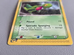 NM Treecko 016 Black Star Promo Pokemon Card NM 2004 nintendo - Image 3