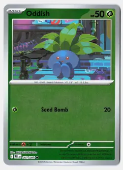 Phantasmal Flames Holo, Reverse Holo, and EX | Choose Your Pokemon Card! - Image 2