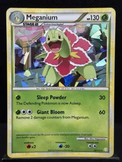 Meganium Cracked Ice Exclusive 26/123 Pokemon TCG Heart Gold Soul Silver Holo - Image 1