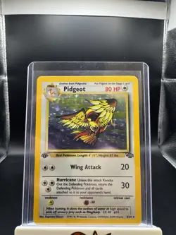 Pokemon Card TCG 1st Edition Pidgeot Jungle Holo Rare 8/64 Vintage WOTC LP/MP - Image 1