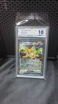 Grade 10 C-19 Squawkabilly ex RR 065/071 SV2P Snow Hazard -Pokemon Card Japanese - Image 1