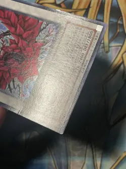 CSOC-JP039 - Yugioh - Japanese - Black Rose Dragon - Ultra MP - Image 4