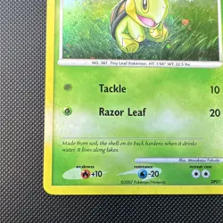 Pokemon Turtwig DP01 Diamond & Pearl 2007 Basic 60 HP Promo Holo English Card - Image 5
