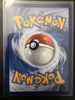 Pokemon 2026 First Partner Illustration Collection Series 1 Promo set (9 cards) - Image 4