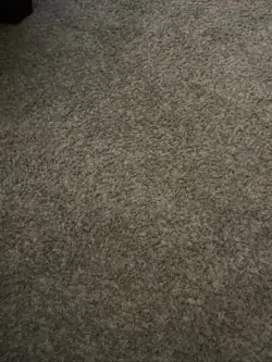 Large Lot Of Pokemon Topps Cards - Image 1