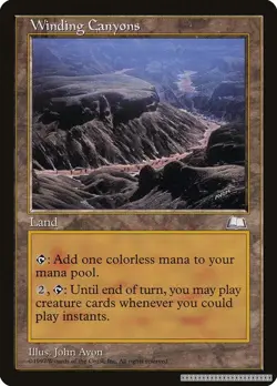 Winding Canyons [WTH - ] - LP [Normal] TCG MTG - Image 1