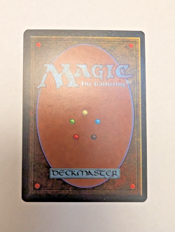 Scrubland Revised Edition Regular - Image 2