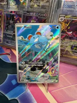 POKEMON MARILL IR 204/193 SV02 PALDEA EVOLVED HOLO NM - Image 1