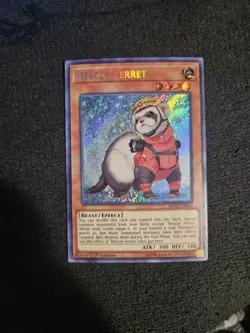 Rescue Ferret (MP18-EN054) - Secret Rare - 1st Edition - Image 1