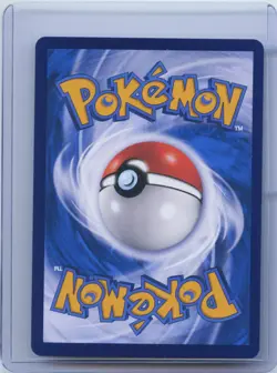 2024 PTCG Pokemon Card S-Chinese cs6bC 166/131 HR Brandon Rainbow Holo NM - Image 2