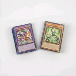 Yu-Gi-Oh! - Complete Prank-Kids Link & Fusion Deck - Image 1