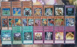 Yugioh Worm Deck 42 Cards Reptile King Queen Xex Zero Budget Tournament Ready - Image 1