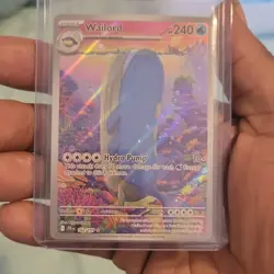 Pokemon TCG Wailord 162/159 SV09 Journey Together Holo Rare Stage 1 240 HP - Image 3
