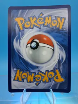 Poochyena GG33/GG70 Crown Zenith Galarian Gallery Holo Rare Pokemon TCG NM - Image 2