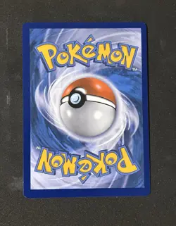 Pokemon Charizard V & VMAX Promo Holo SWSH260 SWSH261 English SWSH 2022 - Image 4