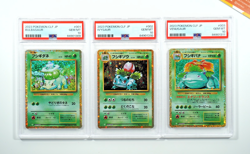 Pokemon PSA 10 Bulbasaur Ivysaur Venusaur CLF Sequencial Set 2023 Japanese - Image 1