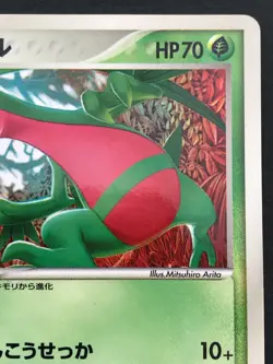 Grovyle 081/PCG-P McDonald’s Promo Rare Pokemon Card Japanese NINTENDO Japan F/S - Image 3
