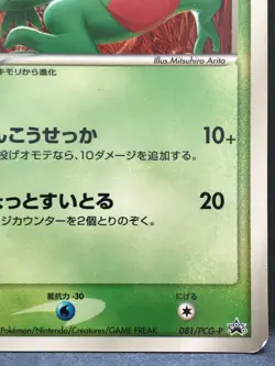 Grovyle 081/PCG-P McDonald’s Promo Rare Pokemon Card Japanese NINTENDO Japan F/S - Image 5