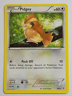 Pidgey 29/30 XY Trainer Kit : Bisharp & Wigglytuff Pokemon - Image 1