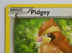 Pidgey 29/30 XY Trainer Kit : Bisharp & Wigglytuff Pokemon - Image 2
