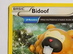 Bidoof 117/160 XY - Primal Clash Pokemon - Image 2