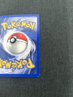 Pokemon TCG Pelipper 19/109 Ruby and Sapphire Reverse Holo Lightly Played - Image 4