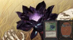Time Travel Repacks MTG (6 Vintage Cards & 3 Rares Per Pack Guaranteed) - Image 1
