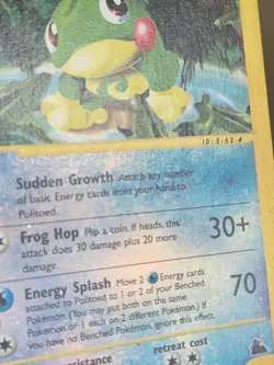 Politoed Reverse Holo 25/144 - Skyridge - Pokemon Card Trade Collect tcg E Serie - Image 5