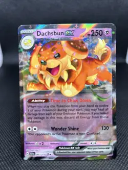 Dachsbun ex 067/142 Sv07: Stellar Crown Holo Pokemon TCG - Image 1