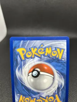 Dachsbun ex 067/142 Sv07: Stellar Crown Holo Pokemon TCG - Image 5