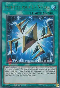 Yu-Gi-Oh! Sacrifice pour Un Niveau : UR BLTR-FR034 - Image 1