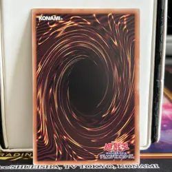 Lovely Labyrnth Of The Silver Castle Secret Rare Japanese Yugioh LOCR-JP031 - Image 2
