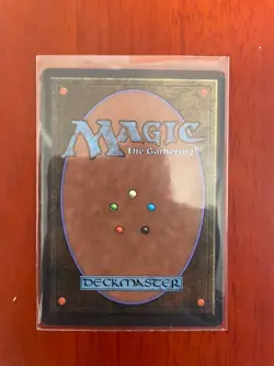 MtG - Dandan Arabian Nights LP Lightly Played - Image 2