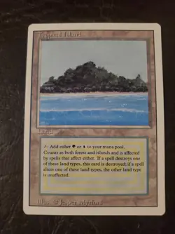 mtg - Image 1