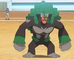 🔥Pokemon CROWN ZENITH Pin Collection 3 Pack Blister *Rillaboom* New/Sealed🔥 - Image 2