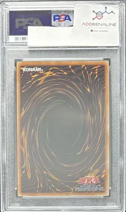 PSA10 Yu-Gi-Oh! Yugioh Holy Knight Dragon 25th EDC1 Japanese Trading Card - Image 2