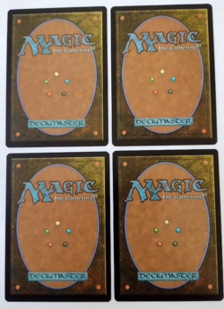 4x Plains (0262) (Borderless) - Edge of Eternities (EOE) - EN - L 0262 - Image 2