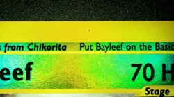 Bayleef 71/165 Reverse Holo Pokemon Expedition 2002 Wotc Vintage LP/NM - Image 5