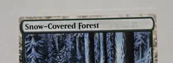 Snow-Covered Forest (White Border) Mystery Booster 2 Regular - Image 2