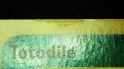 Totodile 135/165 Reverse Holo Pokemon Expedition 2002 Wotc Vintage LP/MP - Image 5