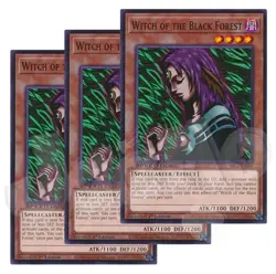 Yugioh Witch of the Black Forest x 3 - 1st Edition NM - Plus Free Holo Card - Image 1