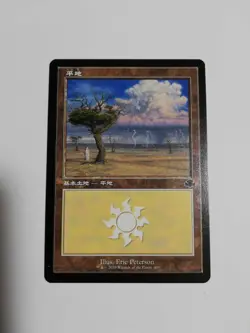 Mtg Magic The Gathering Old Frame Basic Land Plain Japan Edition 1 Piece - Image 1