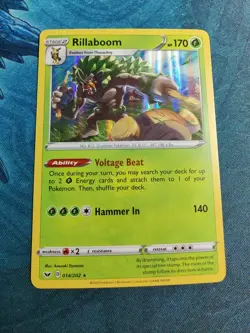 Rillaboom | Holo | MINT | Sword & Shield 014/202 | Rare | Pokemon - Image 1