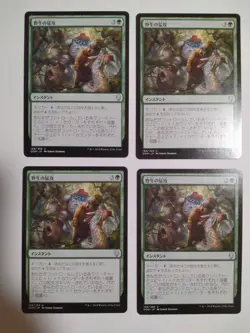 Mtg Magic The Gathering Wild Attack Japan Edition 4-Piece Set - Image 1