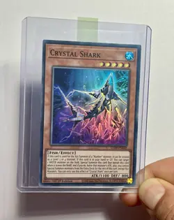 Crystal Shark LED9-EN002 (NM) Super Rare 1st Edition Yu-Gi-Oh! TCG Card - Image 3