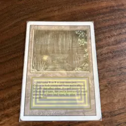 WotC MtG 3rd Ed Bayou (R) Fair - Image 1