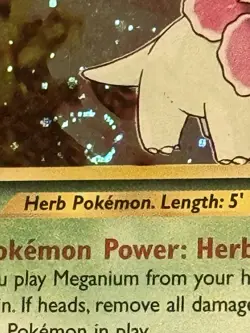 Meganium 10/111 Pokemon Neo Genesis 1st Edition Holo LP Swirl🌀 - Image 2